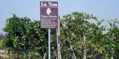 La Tosa